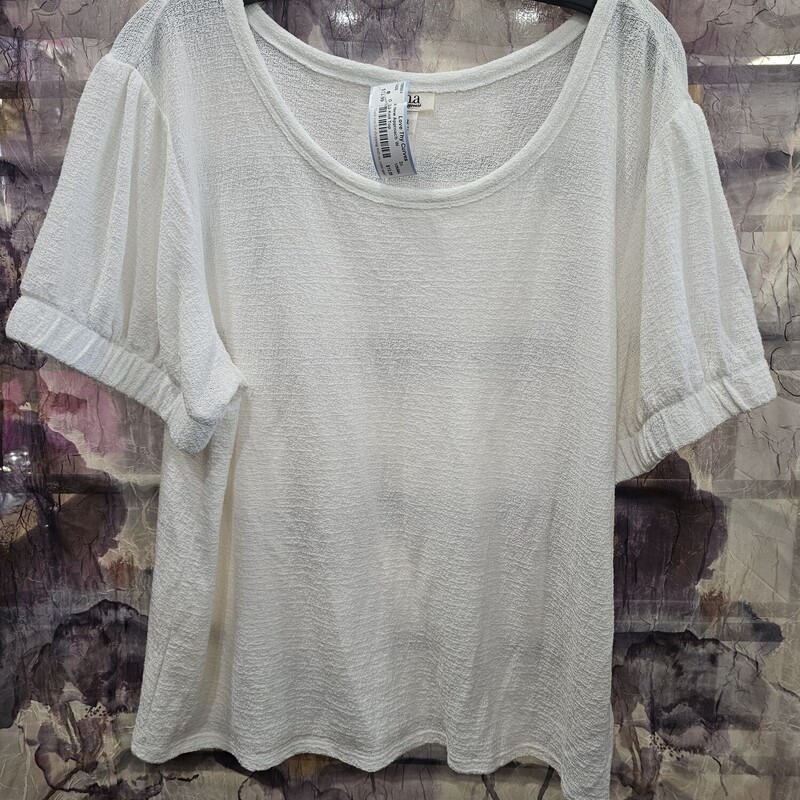 Short sleeve knit top in white with elastic cuffed sleeves for added fashion and appeal.