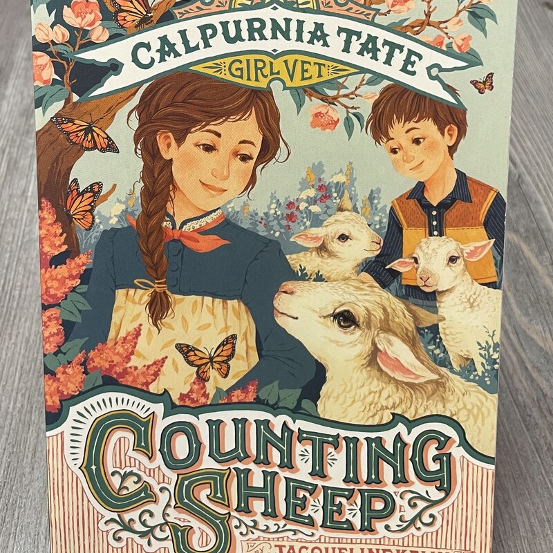 Counting Sheep, Multi, Size: Paperback