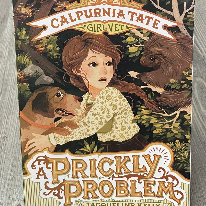 A Prickly Problem, Multi, Size: Paperback