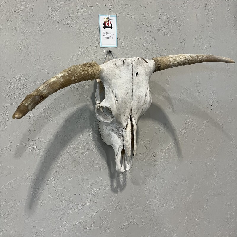 Lrg Crokked Horn Cow