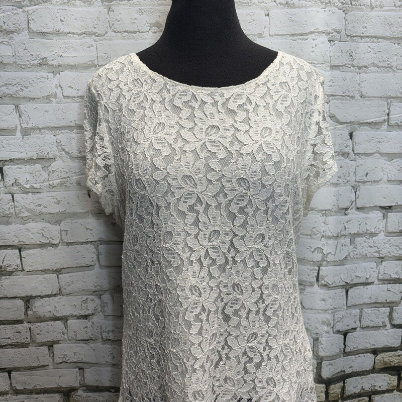 Collection, Crm Lace, Size: Large