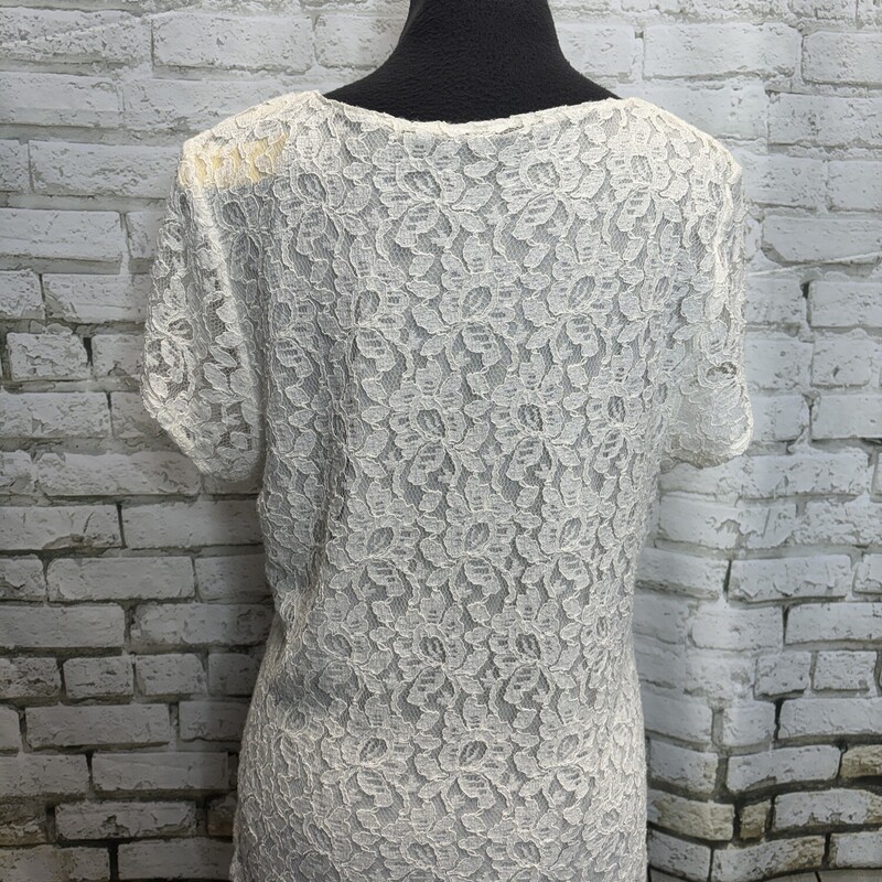 Collection, Crm Lace, Size: Large