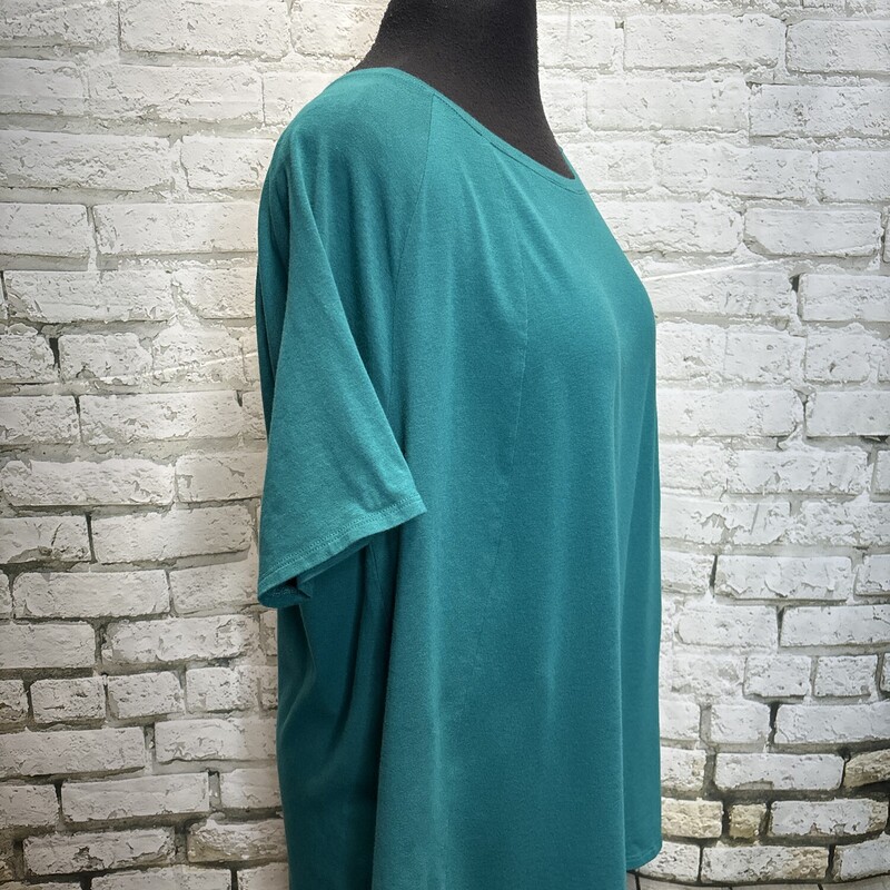 Any Body, Teal, Size: Large