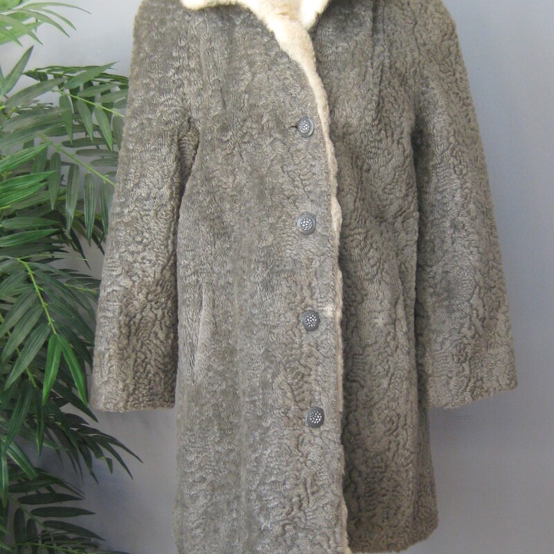 Vtg Faux P. Lamb, Gray, Size: Small
Nice faux persian lamb coat in gray.  It's has a Faux shearling collar and facings.
It good vintage condition.  Not perfect
It could use a new lining
The faux fur is a little rough to the touch.
Make sure it fits you and it will be comfortable and fun to wear.
And Warm.
Union label and a 60s style brand/store label
Fancy buttons, and an extra one on the inside.
pockets

flat measurements:
armpit to armpit:  20.5  (taken on the inside of the coat)
length: 32 , will probably hit above your kneed
waist area: 23
hip area: 24
underarm sleeve seam length: 14.5, this is a 'bracelet' length, designed to show off longer gloves and arm candy

thanks for looking!
#70403