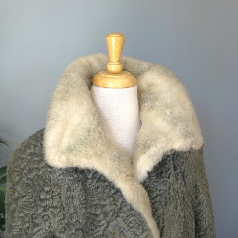 Vtg Faux P. Lamb, Gray, Size: Small<br />
Nice faux persian lamb coat in gray.  It's has a Faux shearling collar and facings.<br />
It good vintage condition.  Not perfect<br />
It could use a new lining<br />
The faux fur is a little rough to the touch.<br />
Make sure it fits you and it will be comfortable and fun to wear.<br />
And Warm.<br />
Union label and a 60s style brand/store label<br />
Fancy buttons, and an extra one on the inside.<br />
pockets<br />
<br />
flat measurements:<br />
armpit to armpit:  20.5  (taken on the inside of the coat)<br />
length: 32 , will probably hit above your kneed<br />
waist area: 23<br />
hip area: 24<br />
underarm sleeve seam length: 14.5, this is a 'bracelet' length, designed to show off longer gloves and arm candy<br />
<br />
thanks for looking!<br />
#70403