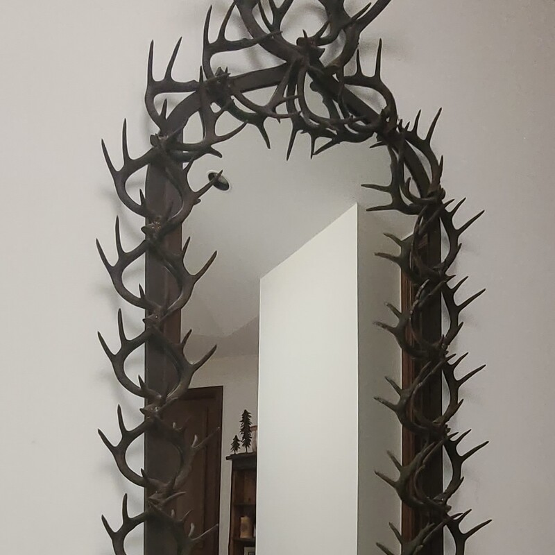 Iron Antler Mirror