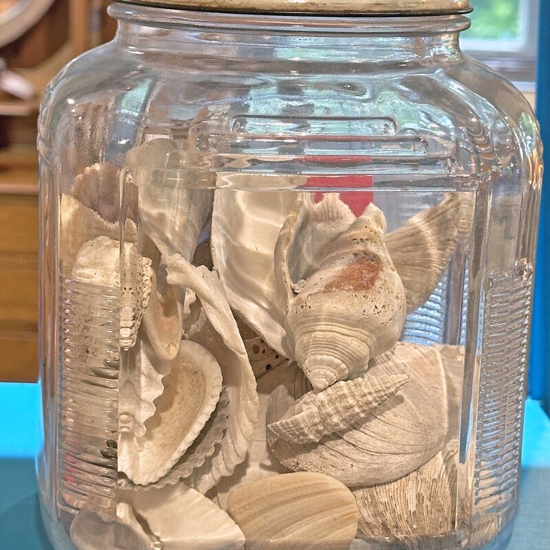 Vintage Evans Assorted Cocoanut Suckers Jar with
Old Shells
9 In Tall x 7 In Round