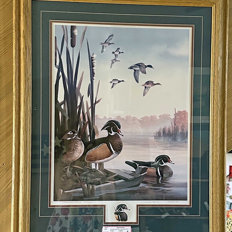 Conservation Numbered Edition

Wood Ducks
25 x 31