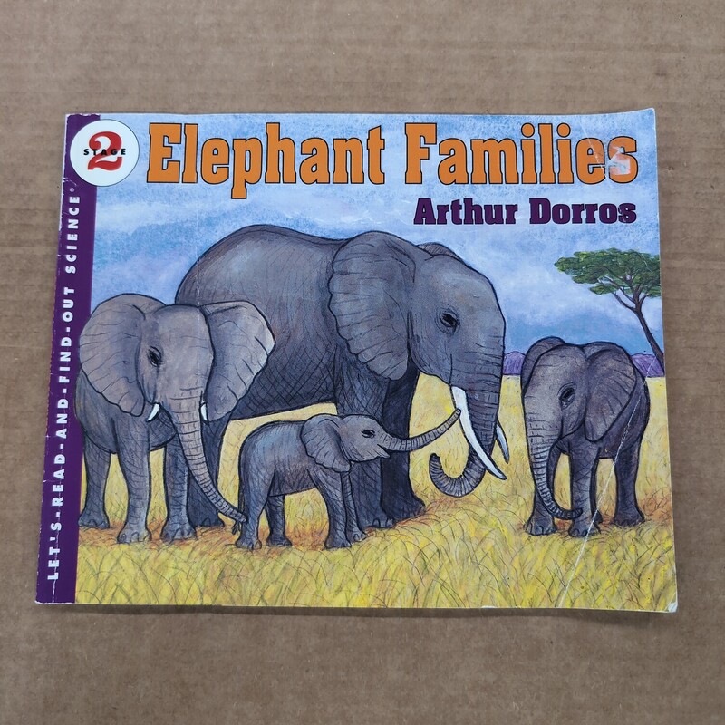 Elephant Families, Size: Back, Item: Paper