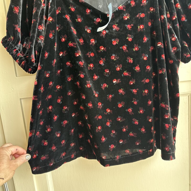 Loft NWT Velvet W/ Red Floers, Black, Size: Medium<br />
$12.99<br />
<br />
All sales are final. No Returns<br />
Pick up within 7 days of purchas or have it shipped.<br />
Thank you for shopping with us :)