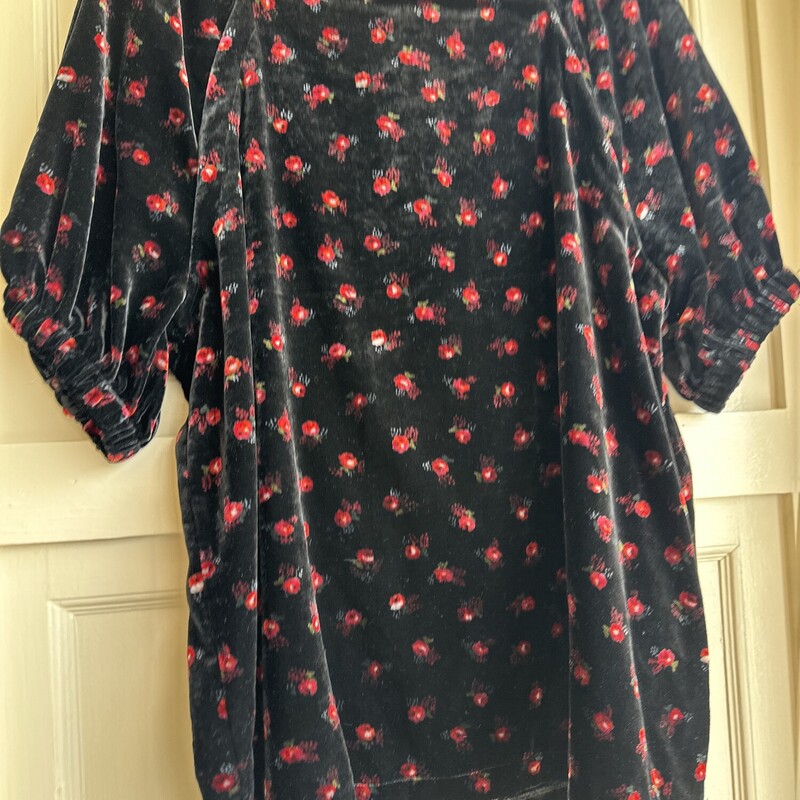 Loft NWT Velvet W/ Red Floers, Black, Size: Medium
$12.99

All sales are final. No Returns
Pick up within 7 days of purchas or have it shipped.
Thank you for shopping with us :)
