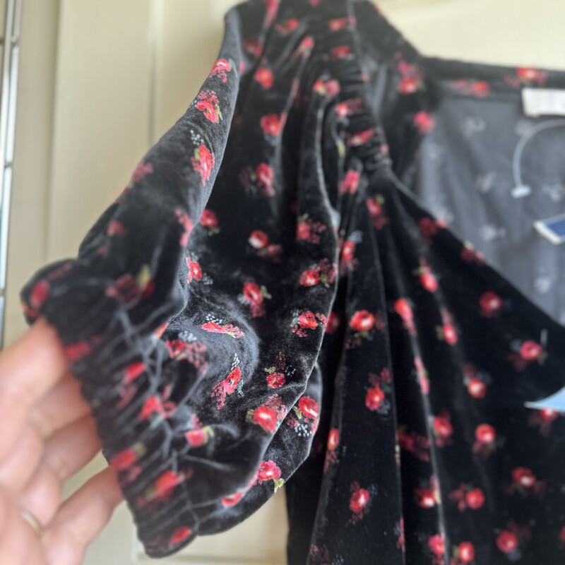 Loft NWT Velvet W/ Red Floers, Black, Size: Medium
$12.99

All sales are final. No Returns
Pick up within 7 days of purchas or have it shipped.
Thank you for shopping with us :)