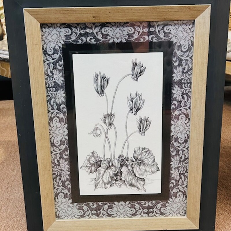 Tulip Sketch Ornate Matte Print
White Black Silver Size: 19.5 x 25.5H