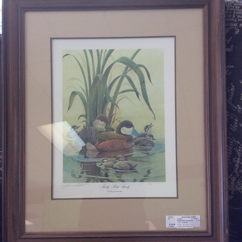 This RUDDY DUCK FAMILY print is signed, numbered, and has a custom frame. Size: 21x25
