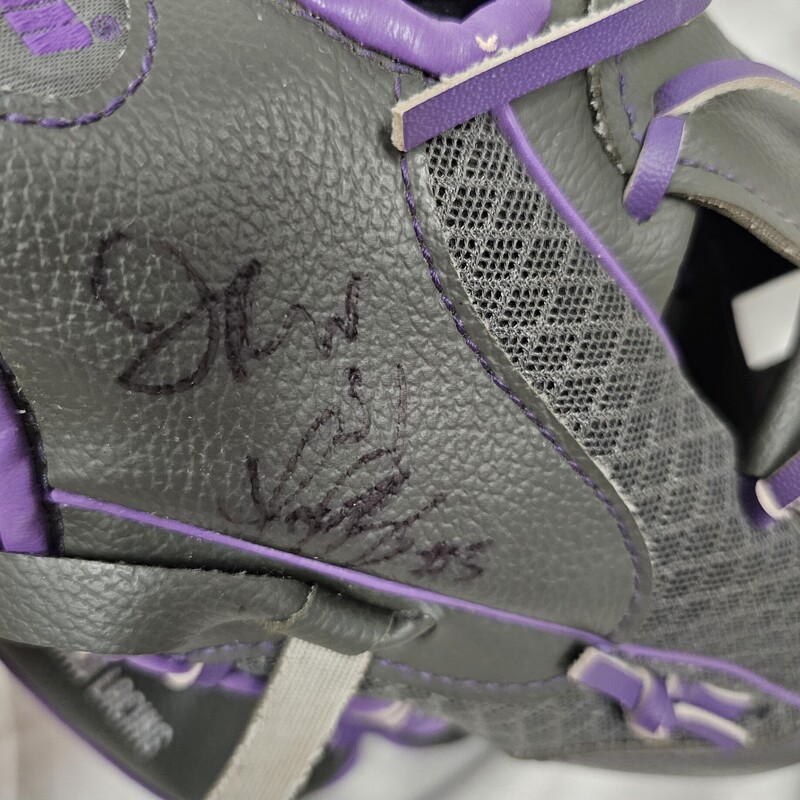 Franklin Mesh Tek T-Ball Glove, Right Hand Throw, Size: 9.5in., Gray & Purple, pre-owned. Glove was signed, not sure by who.
