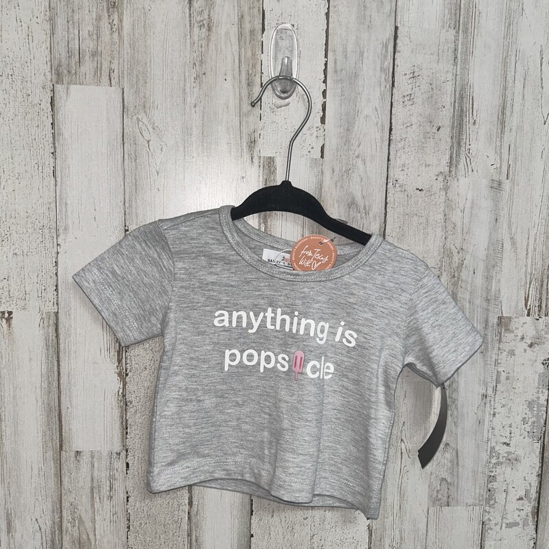 NEW 9/12 Popsicle Tee, Grey, Size: Girl 6-12m