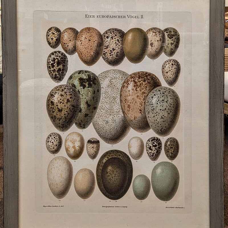 Arhaus Egg Volume II Artwork Print
Gray Cream Brown Green Size: 33 x 40H