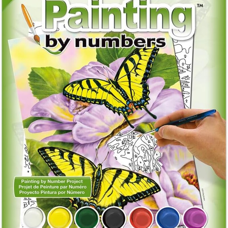 Paint By Number Butterfly, 8+, Size: Adult Art