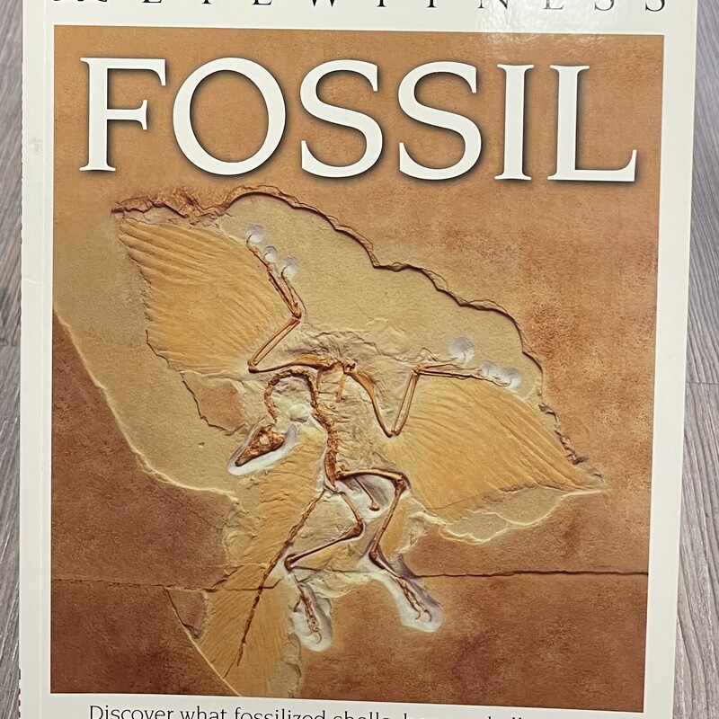 Fossil, Multi, Size: Paperback