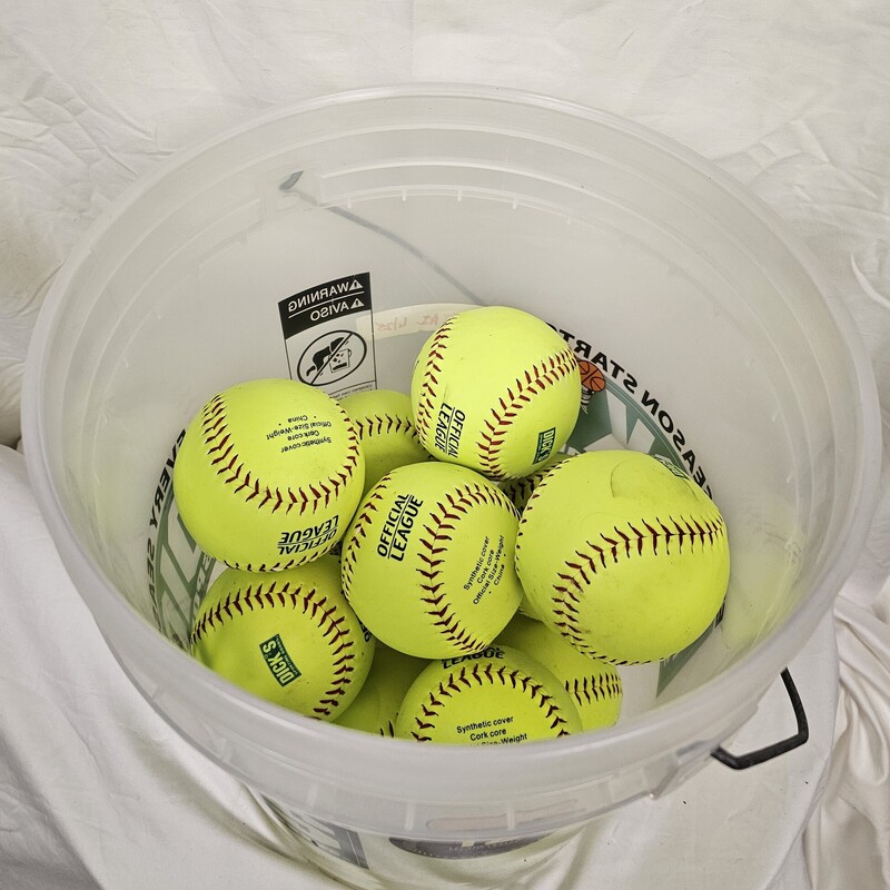 DSG Bucket Of Softballs