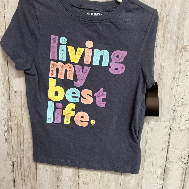 4T Grey My Best Life Tee, Grey, Size: Girl 4T