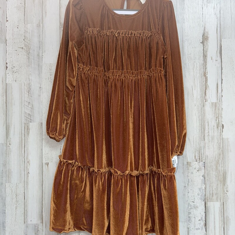 9/10 Rust Corduroy Dress
