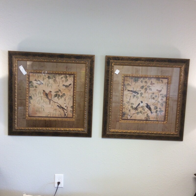 This pair of Bird Prints are done with bronze mats with antiqued gold frames.