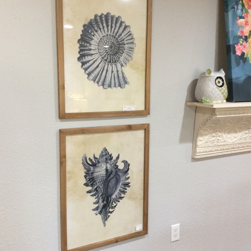 This pair of Shell monocramatic prints have natural wood frames.