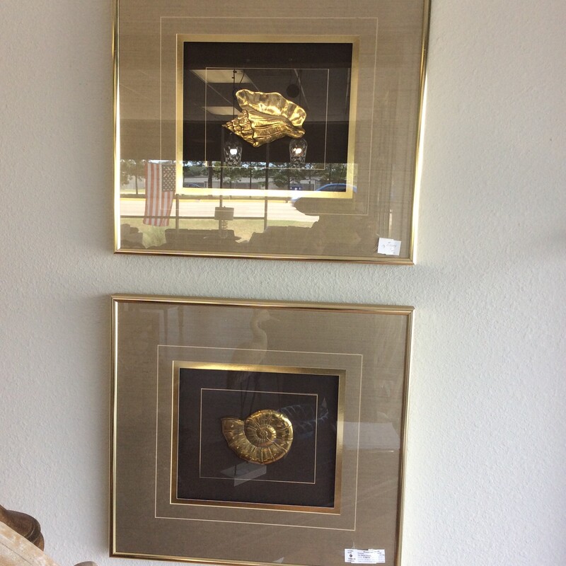 This pair of framed Brass Shells are matted in black and gold with a gold metal frame.
