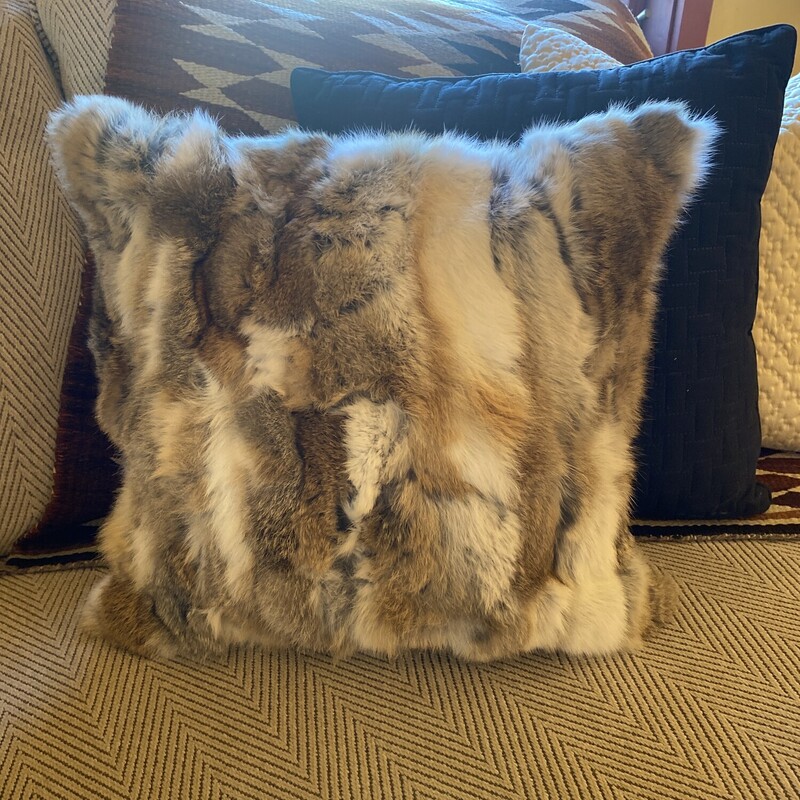 Fur Pillow

Size: 18x18