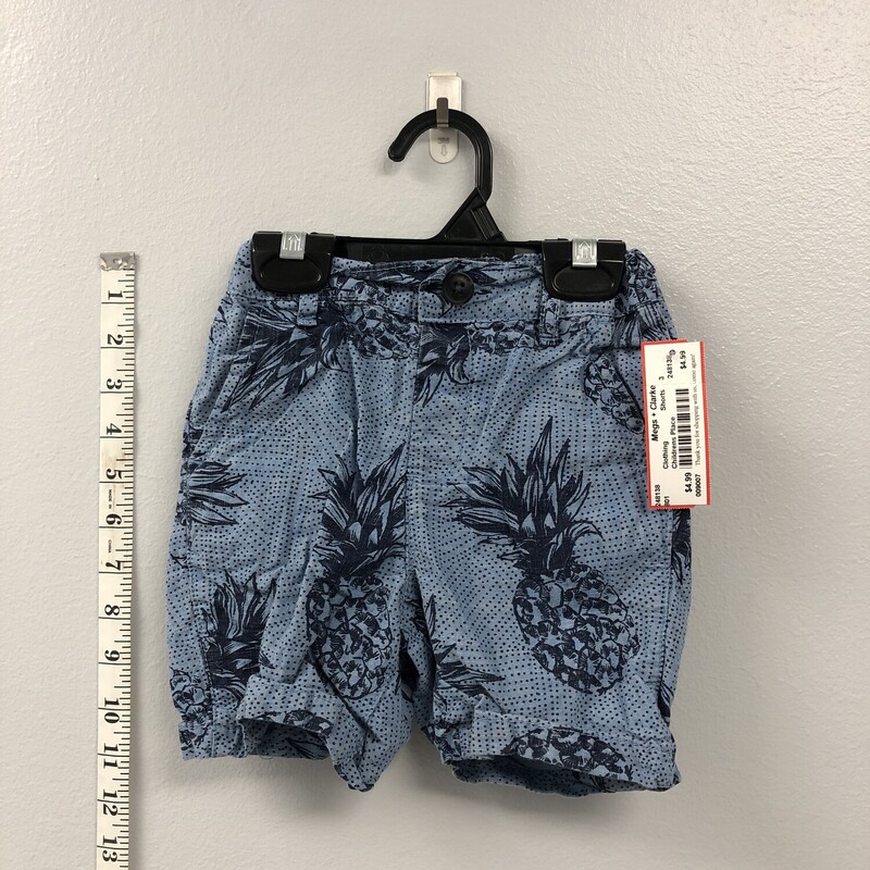 Childrens Place, Size: 3, Item: Shorts