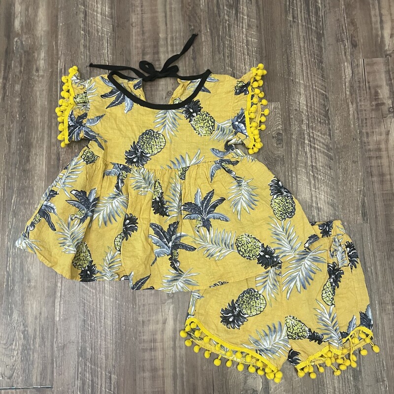 Pineapple Shirt/short Set