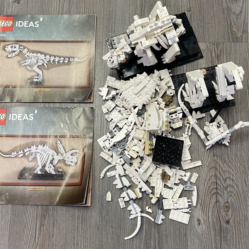 Lego Ideas 21320