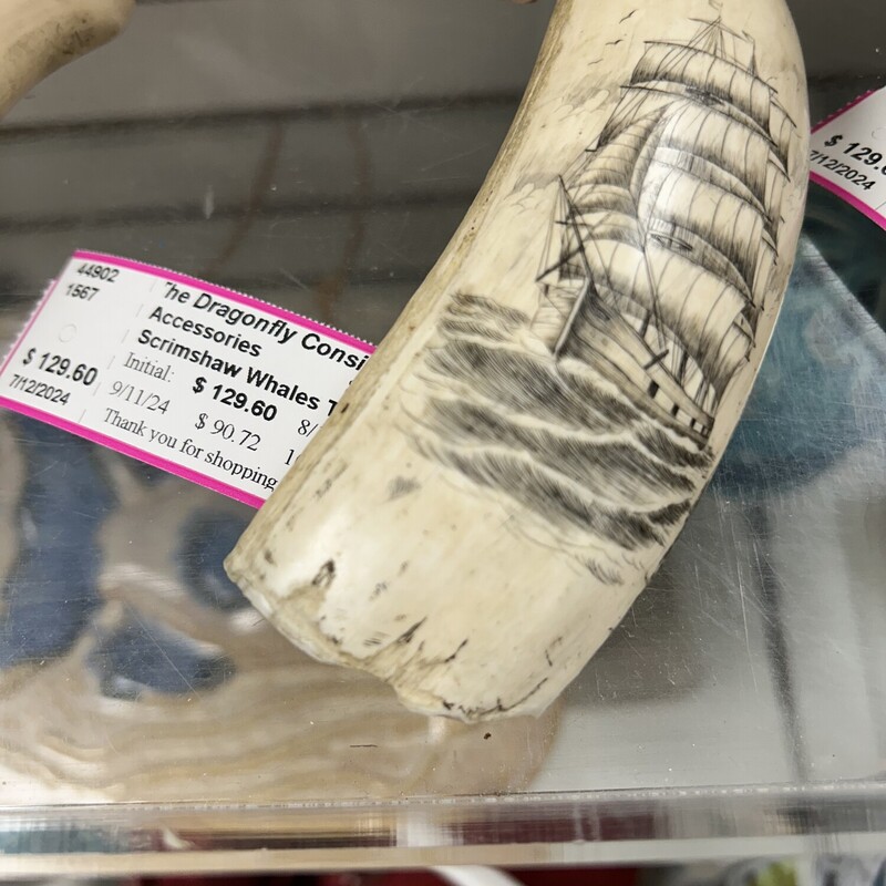 Scrimshaw Whales Tooth