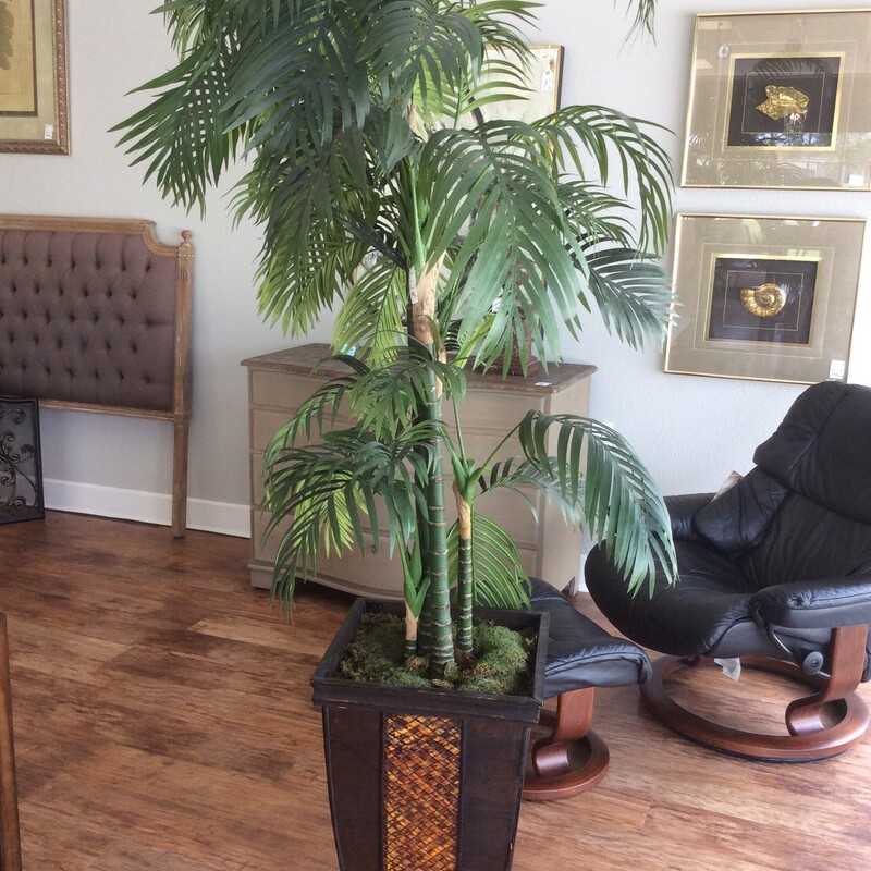 This 7 foot faux Palm Tree comes in a wood and rattan container.