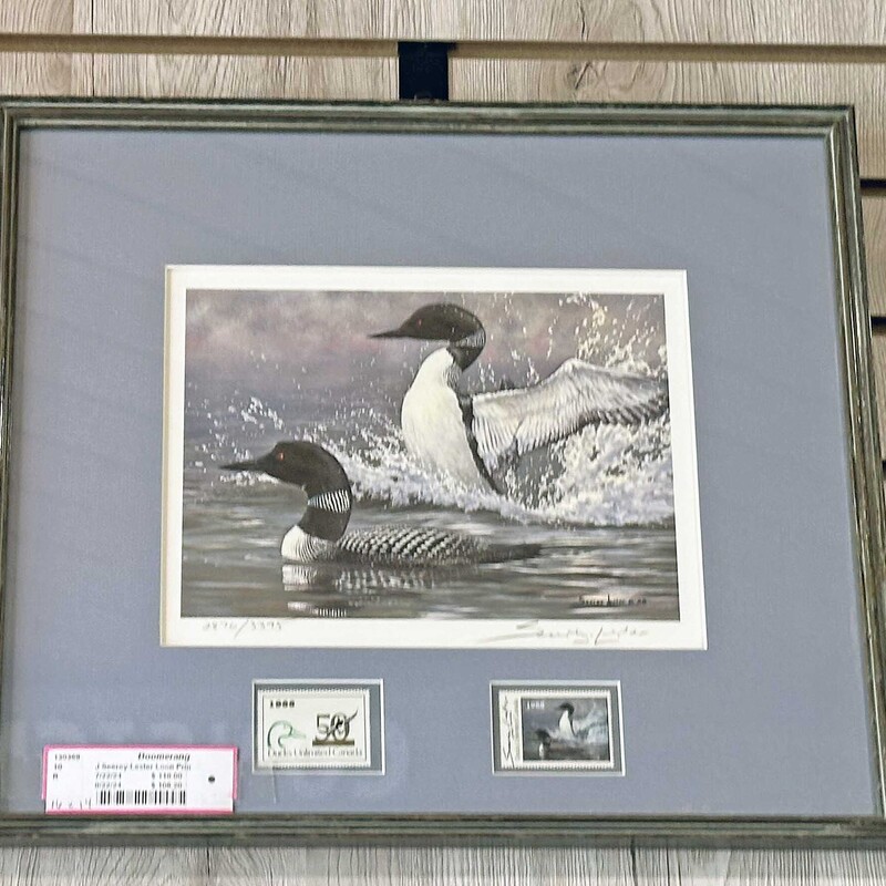 J Seerey-Lester Loon Print
Morning Display

Ducks Unlimited - Canada
1988 Limited Signed Edition
Print With Stamps

16.5 x 14