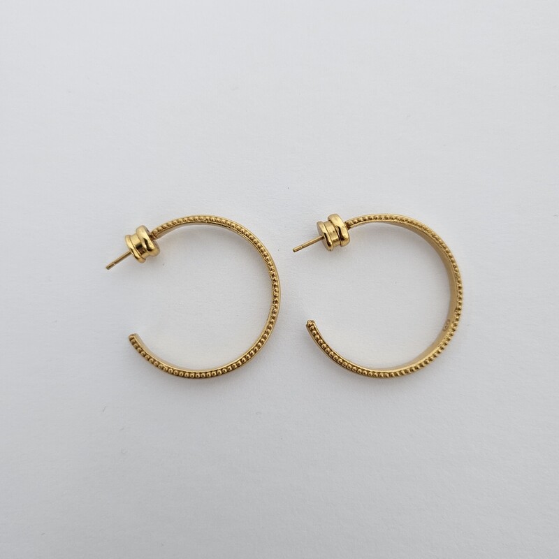 Julie Voss<br />
Gold hoops<br />
Size: Pierce