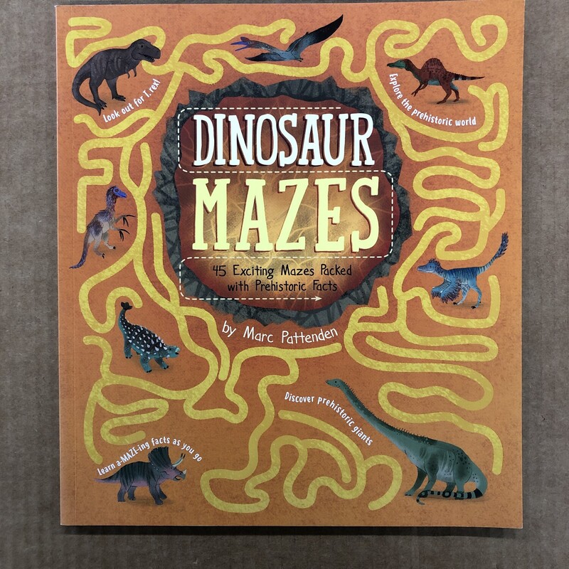 Dinosaur Mazes, Size: Activity, Item: NEW