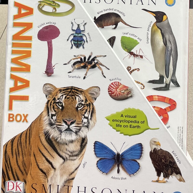 The Animal Box Smithsonia