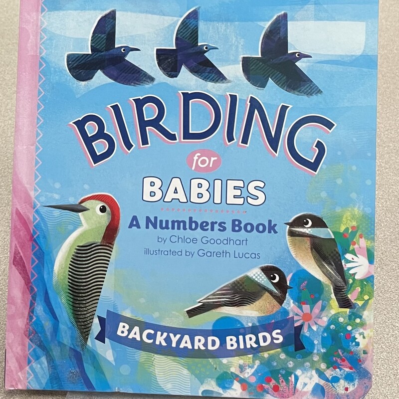 Birding For Babies A Numb