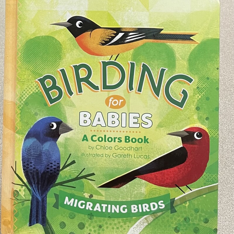 Birding For Babies A Colo