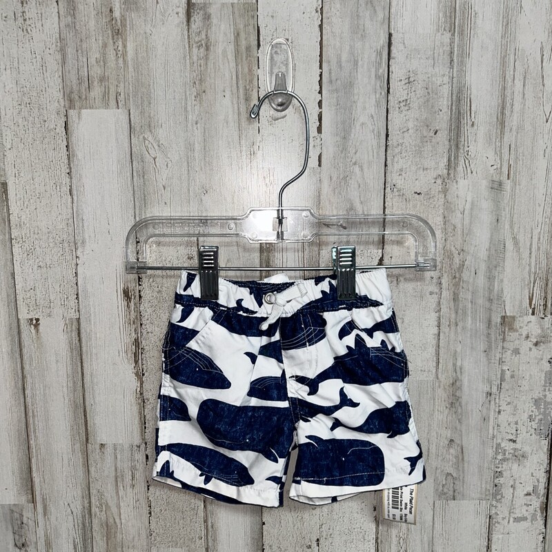 6M Whale Print Swim Short