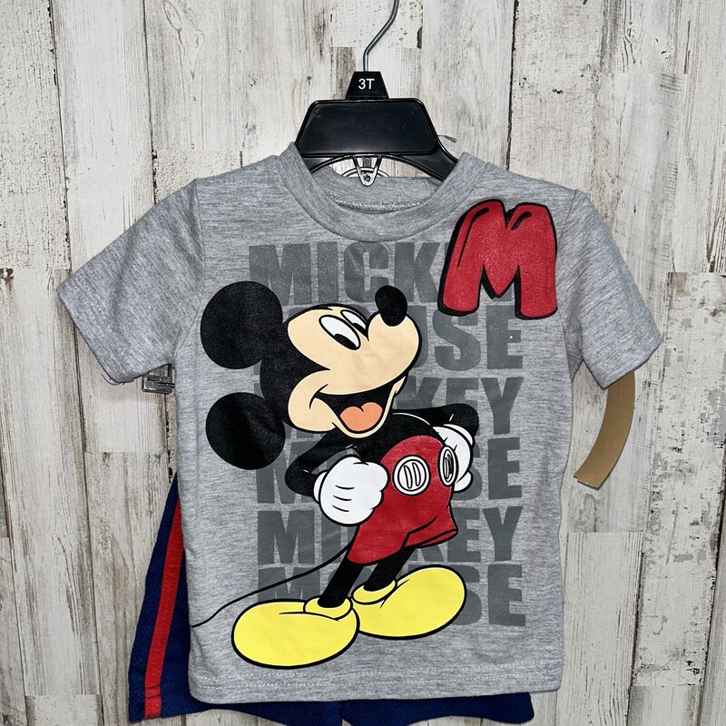 18M Grey Mickey 2pc Set