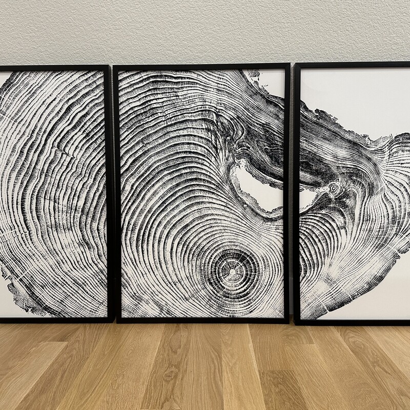 Tree Ring Art Triptych