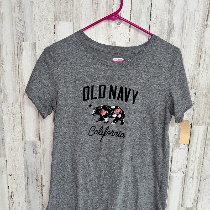 S Grey Logo Bear Tee, Grey, Size: Ladies S