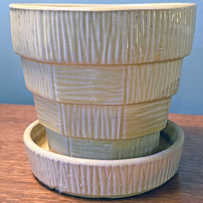 Yellow Pottery Planter 5x