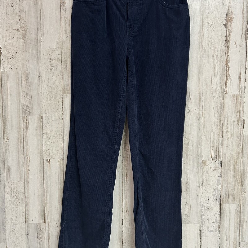 10 Navy Corduroy Pants