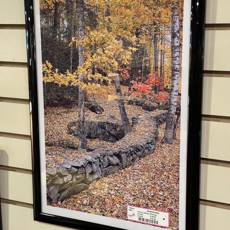 Fall In Littleton Photograph
Size: 14x20
Nothing says fall than this beautiful original photograph by Bethlehem photographer, Stephen Gifford.