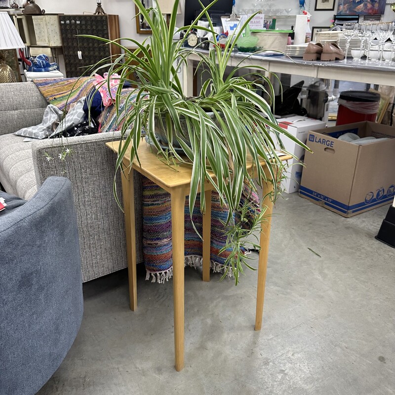 Wood Plant Stand, Light Brown
Size: 19x19x30