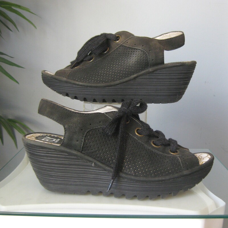 fan favorite sandals by Fly London.
black Yedu wedges with leather upper and thick laces.
slingbacks
size 8.5 39
great condition
Thanks for looking!
#75627